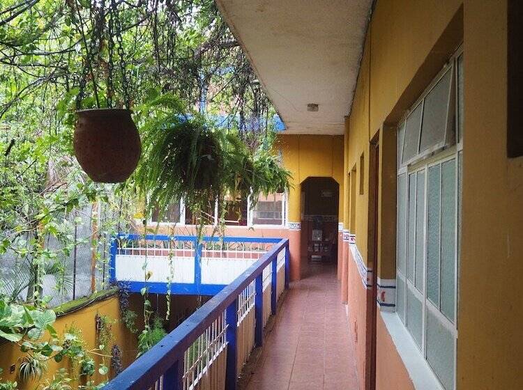 Отель Don Candido