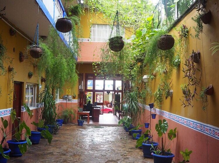 Отель Don Candido