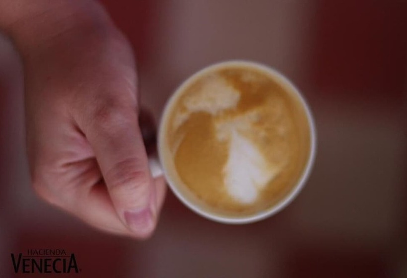 ホテル Hacienda Venecia Main House & Coffee Lodge