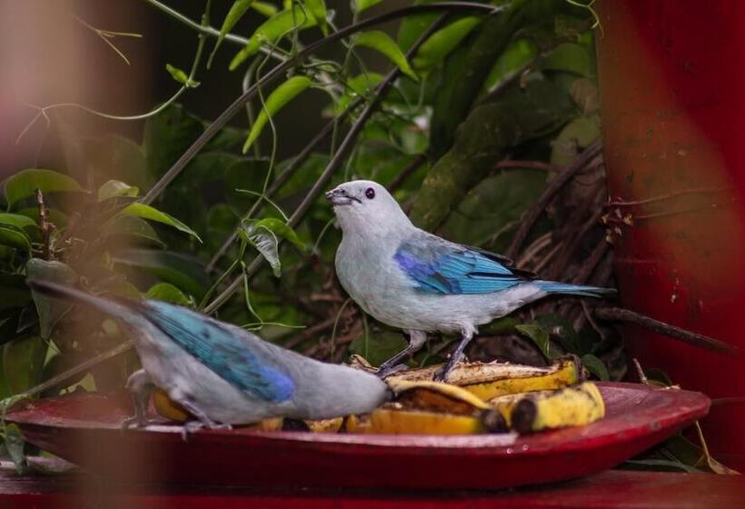 ホテル Hacienda Venecia Main House & Coffee Lodge