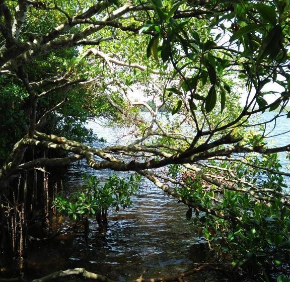 צימר Ananda Villa Bentota