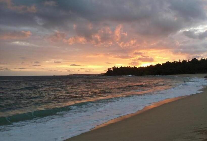 住宿加早餐  Ranith Villa