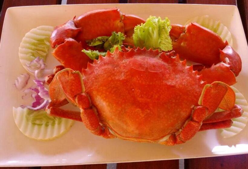 تختخواب و صبحانه Werala Beach Resort