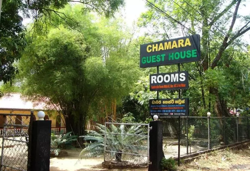 ホテル Chamara Guest House