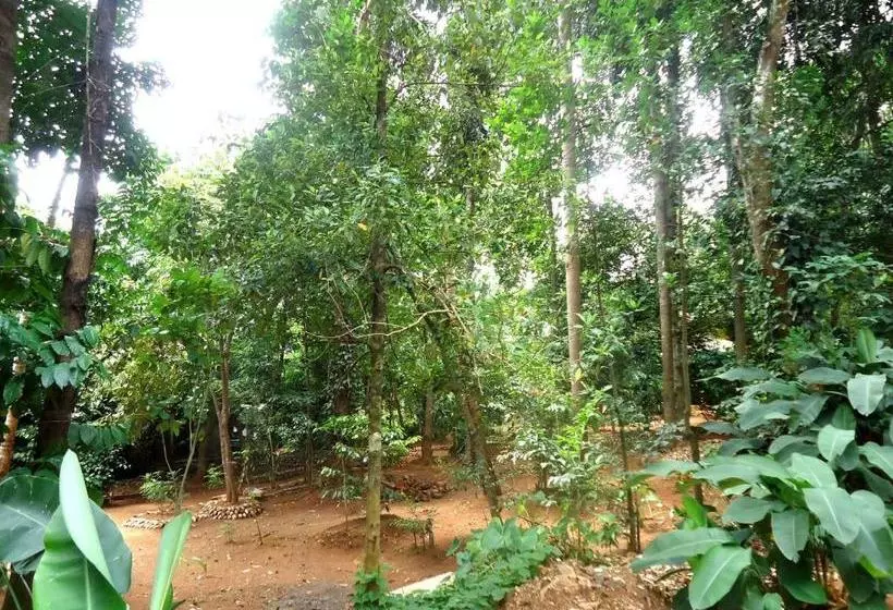 ホテル Chamara Guest House