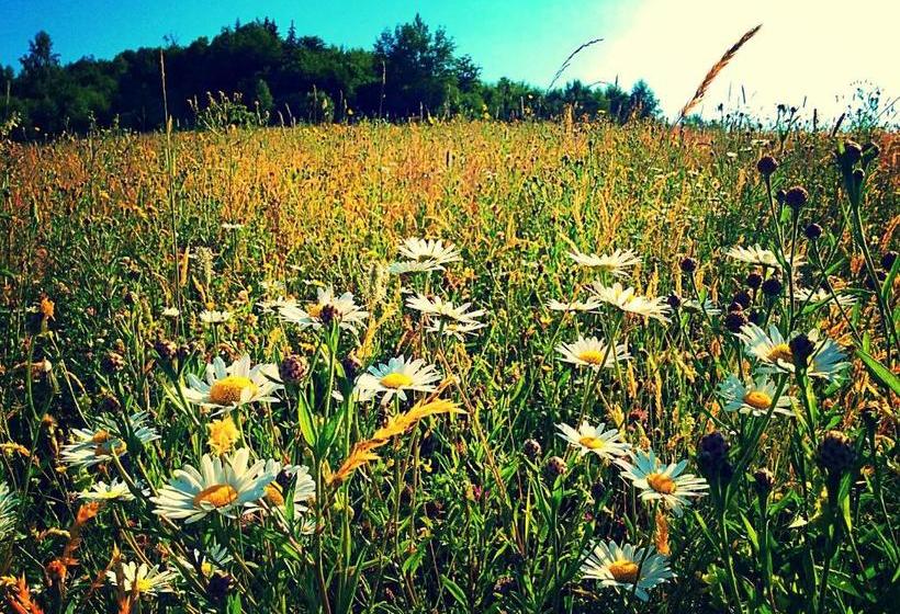 هتل Complex Druzhba