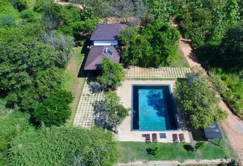 Pinthaliya Resort