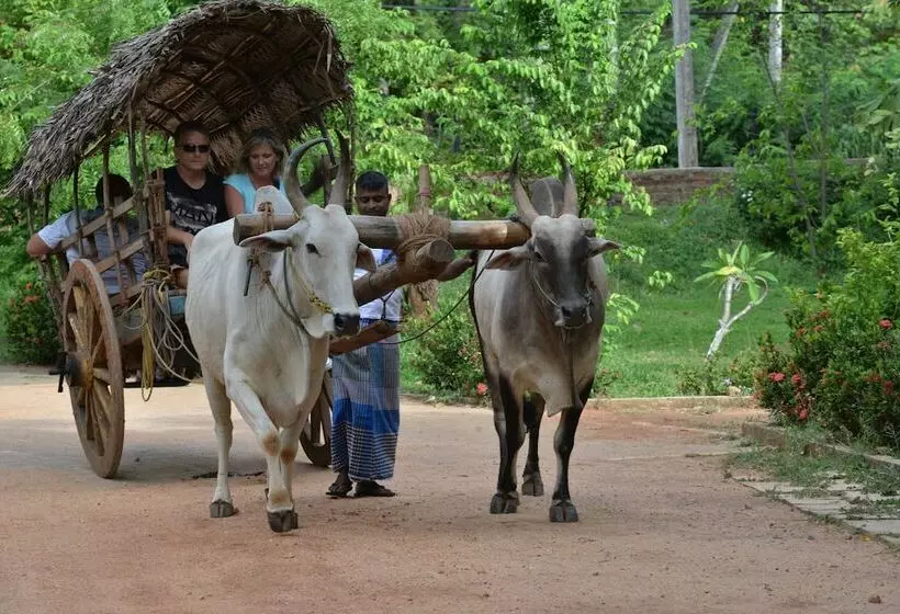 Pinthaliya Resort