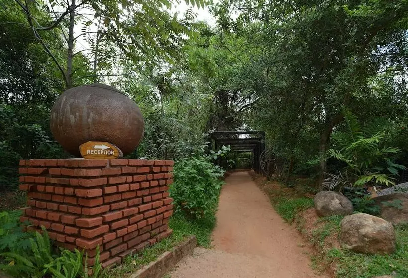 Pinthaliya Resort