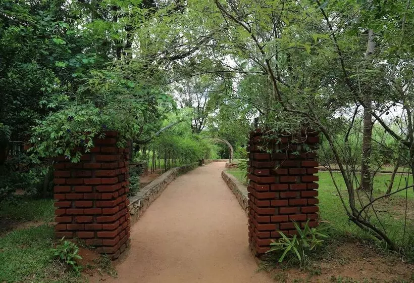 Pinthaliya Resort