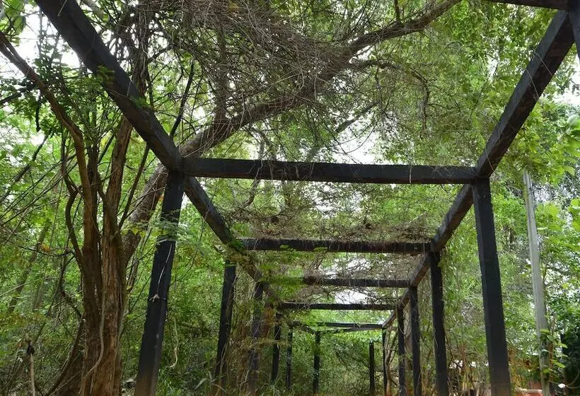 Pinthaliya Resort