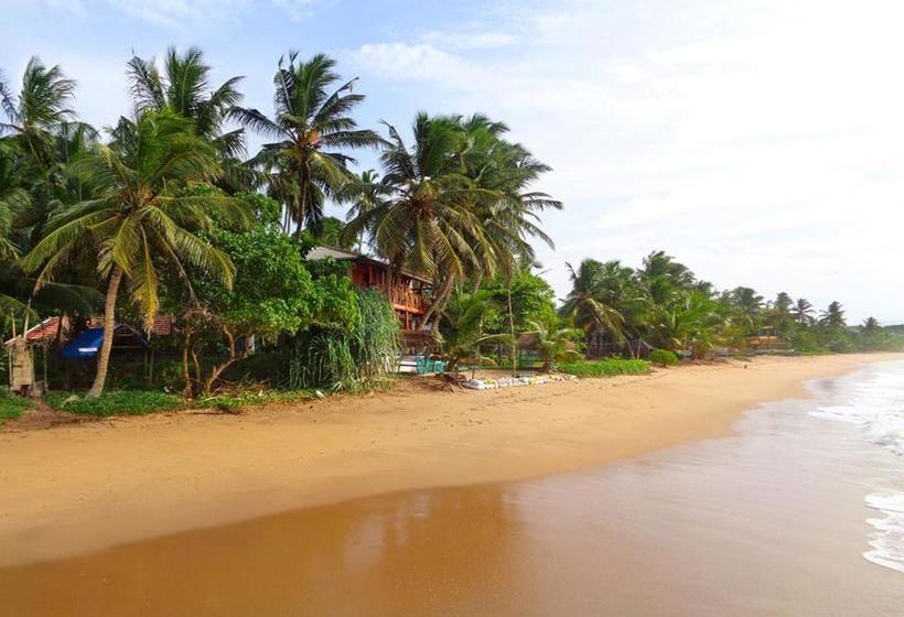 Reggae Zone Beach Resort