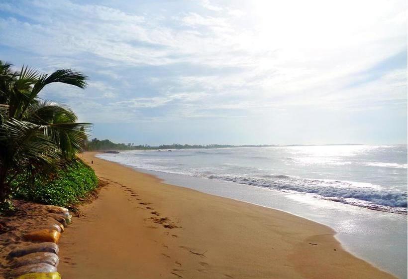 Reggae Zone Beach Resort