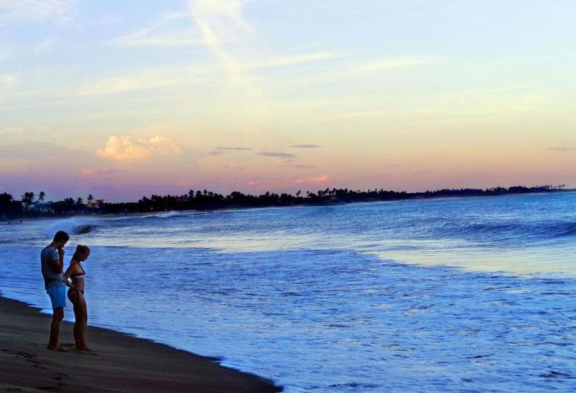 Reggae Zone Beach Resort