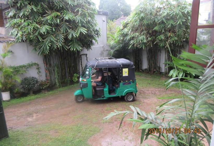 فندق صغير Hitchhike Backpackers