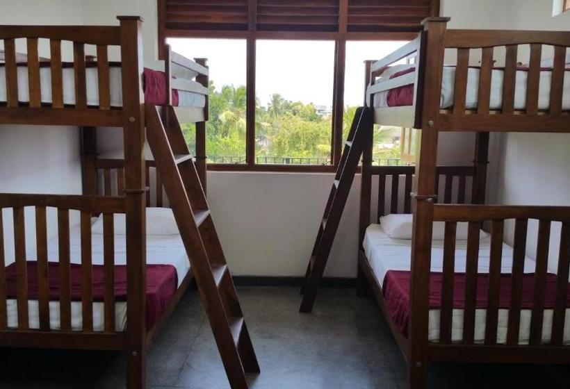 فندق صغير Hitchhike Backpackers