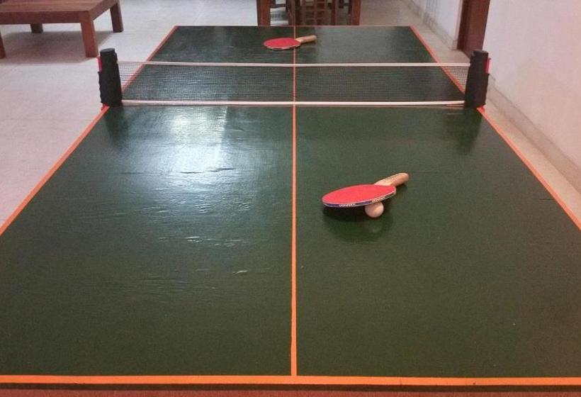 فندق صغير Hitchhike Backpackers