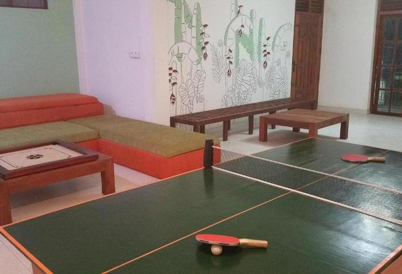 فندق صغير Hitchhike Backpackers