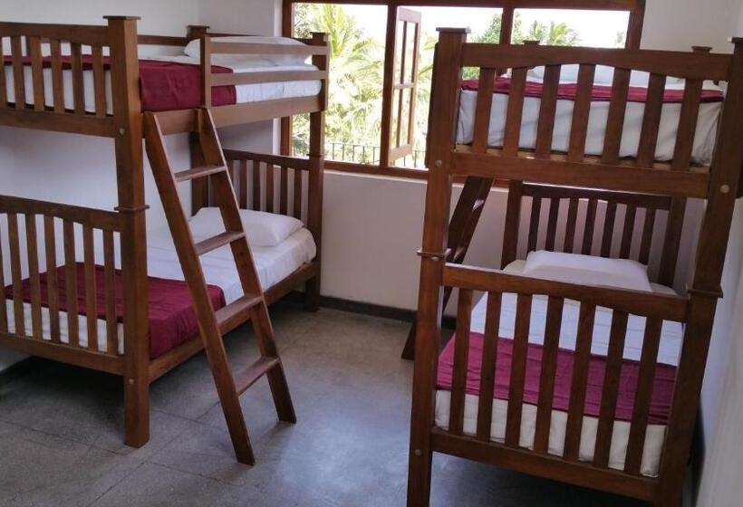 فندق صغير Hitchhike Backpackers