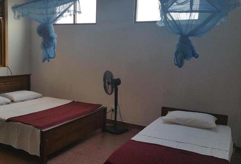 فندق صغير Hitchhike Backpackers