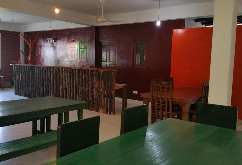 فندق صغير Hitchhike Backpackers