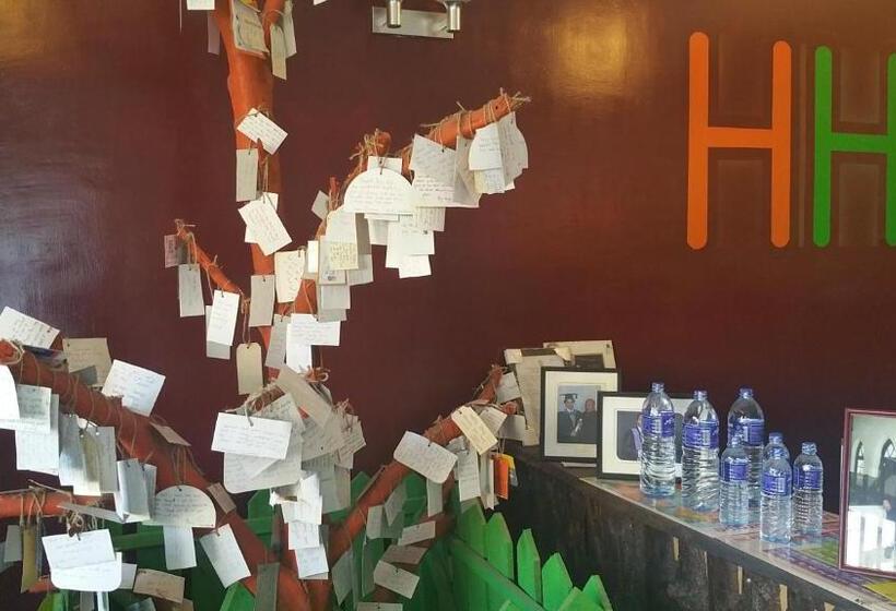 فندق صغير Hitchhike Backpackers