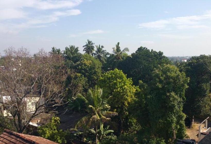 فندق صغير Hitchhike Backpackers