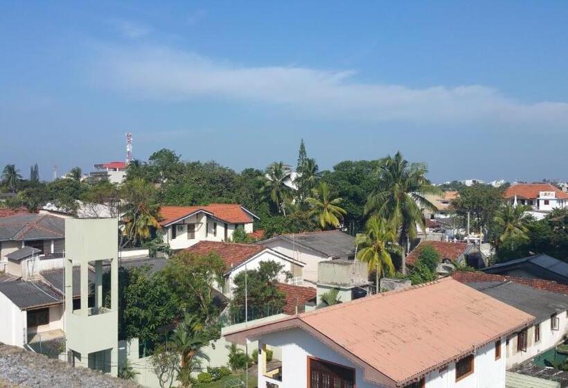 فندق صغير Hitchhike Backpackers