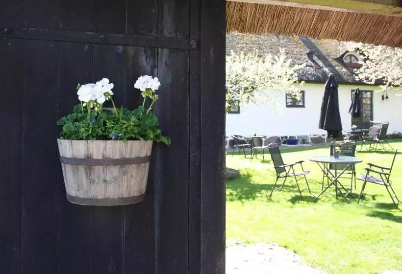 B&b Hannåsa Gård