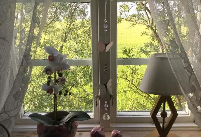 B&b Hannåsa Gård
