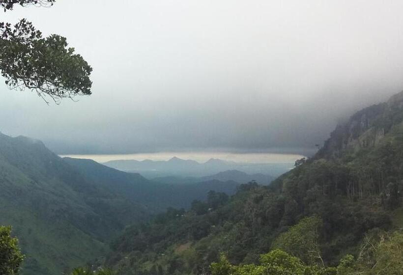 Bed and Breakfast Blue Ribbon Homestay