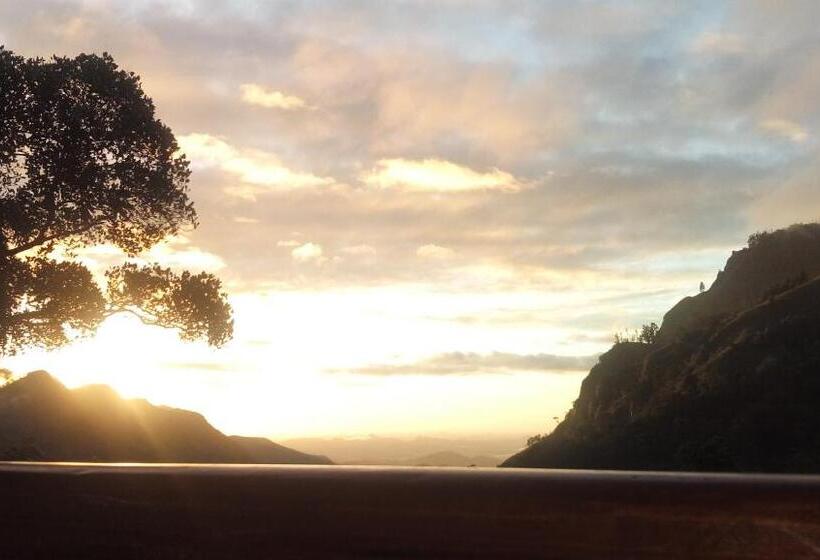 Bed and Breakfast Blue Ribbon Homestay