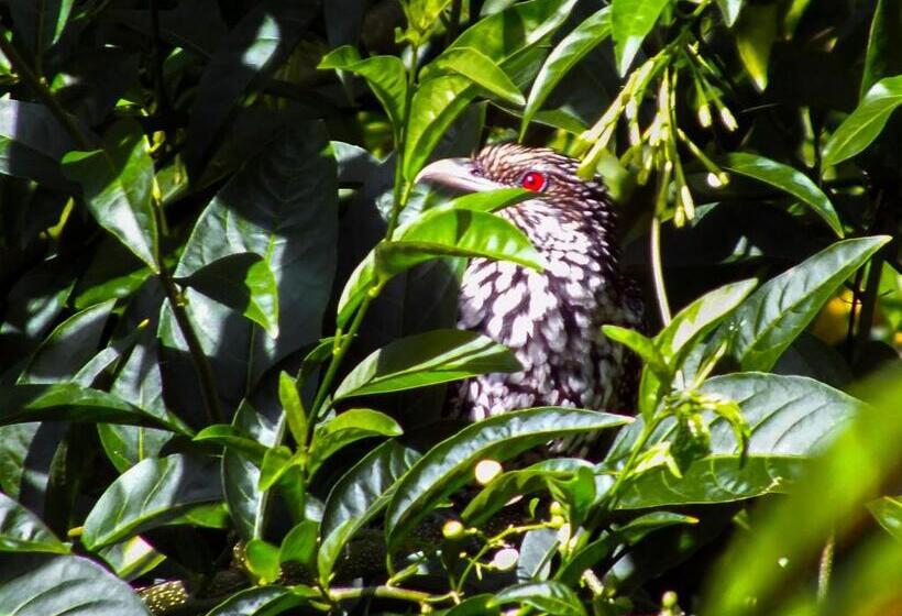 Bed and Breakfast Blue Ribbon Homestay