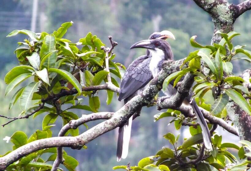 Bed and Breakfast Blue Ribbon Homestay