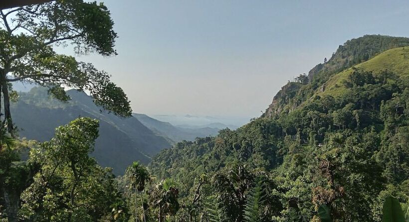 Bed and Breakfast Blue Ribbon Homestay