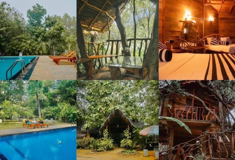 住宿加早餐 Dudley Nature Resort