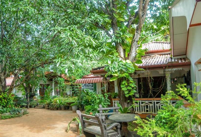 住宿加早餐 Dudley Nature Resort