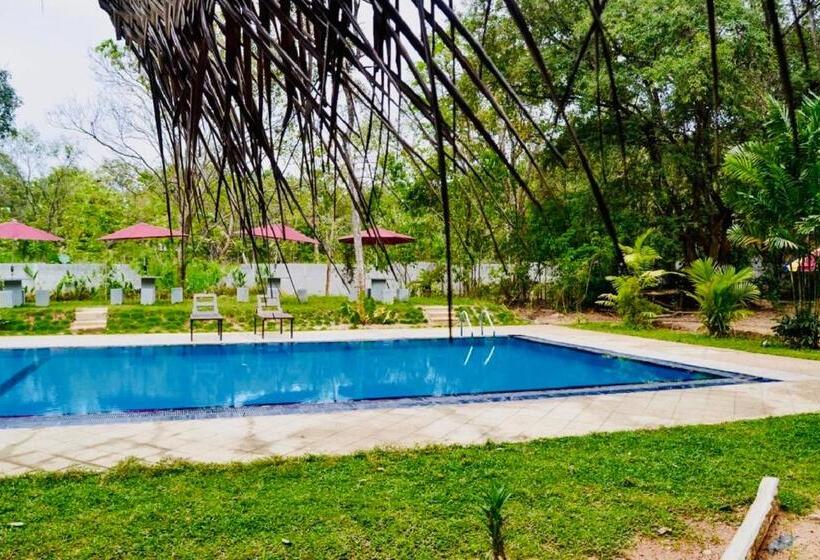 住宿加早餐 Dudley Nature Resort