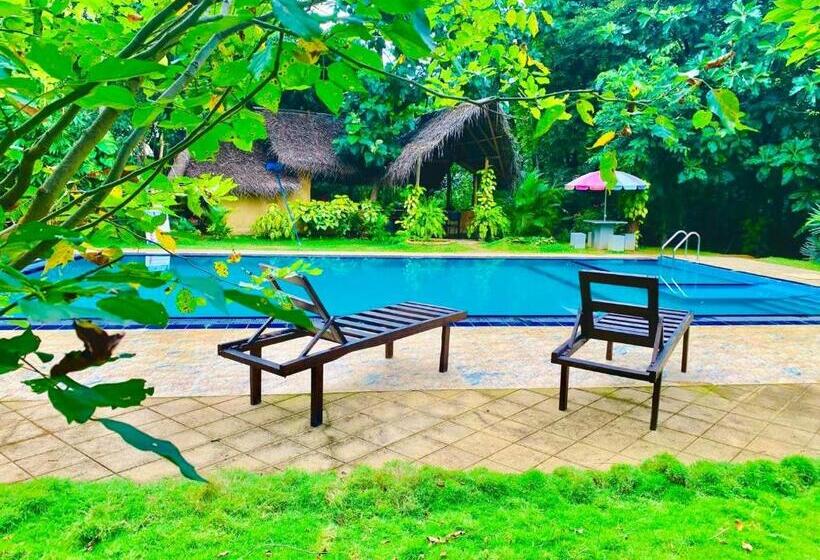 住宿加早餐 Dudley Nature Resort