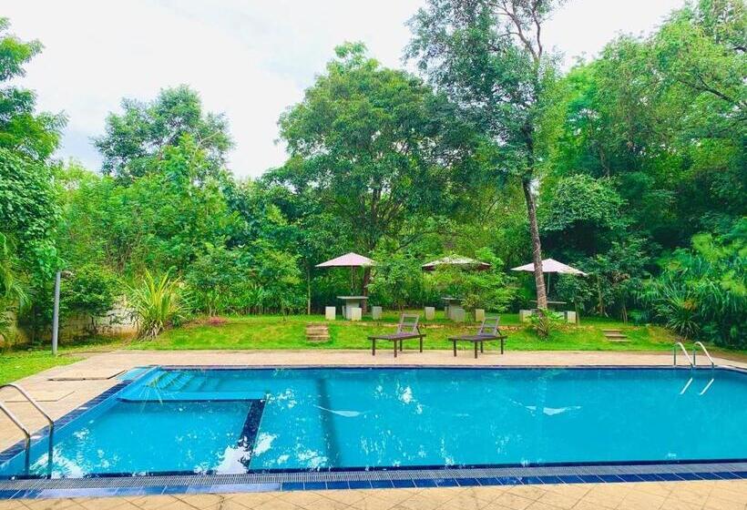 住宿加早餐 Dudley Nature Resort