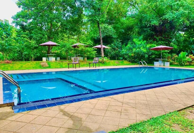 住宿加早餐 Dudley Nature Resort