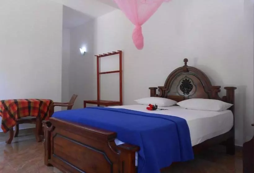 Aamiaismajoitus (B&B) Freedom Guest Inn Ella