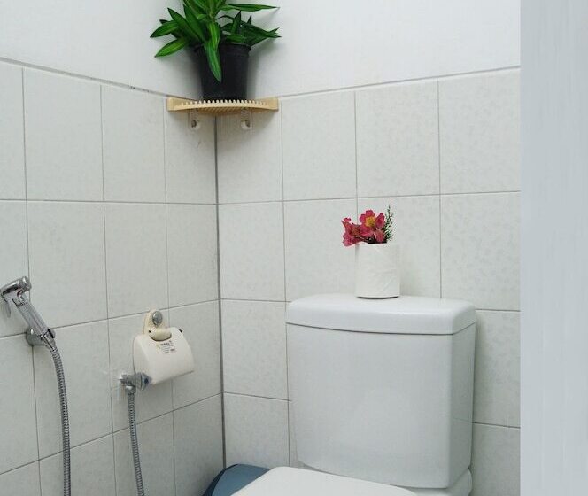 ベッドアンドブレックファースト Suriya Arana