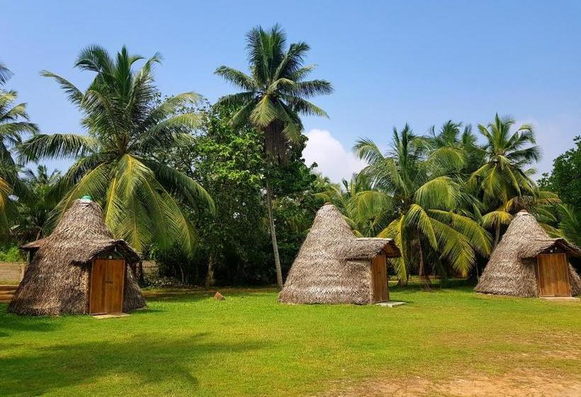 "camp Kush" By Hostel Unawatuna