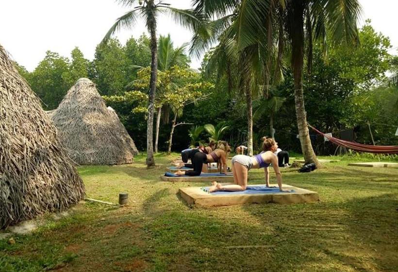 "camp Kush" By Hostel Unawatuna