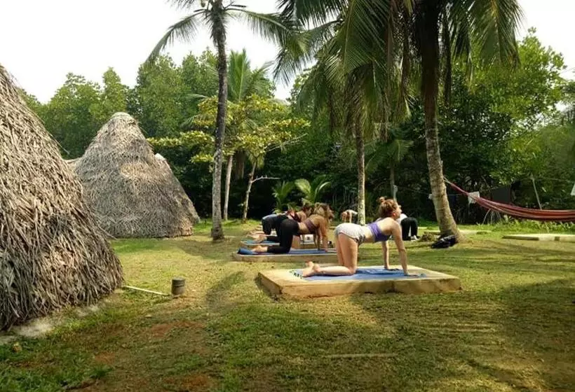 "camp Kush" By Hostel Unawatuna