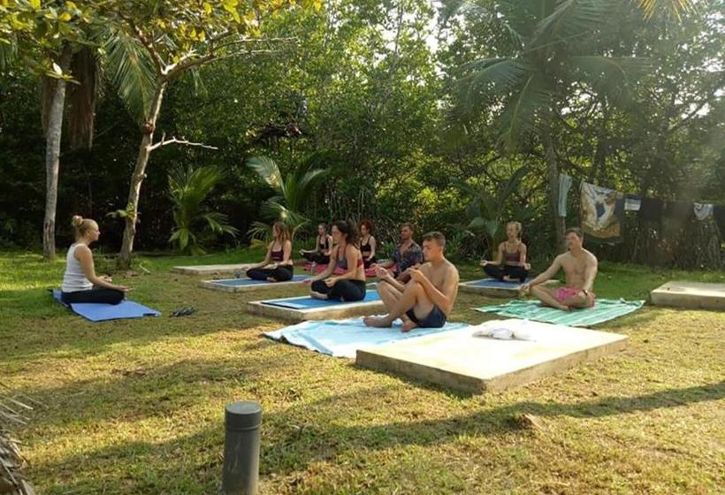 "camp Kush" By Hostel Unawatuna