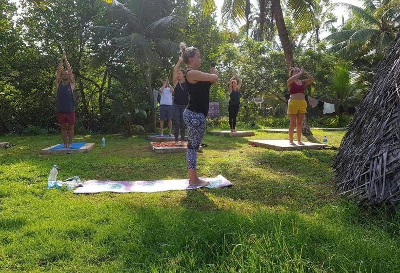 "camp Kush" By Hostel Unawatuna