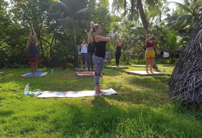 "camp Kush" By Hostel Unawatuna