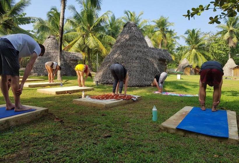 "camp Kush" By Hostel Unawatuna